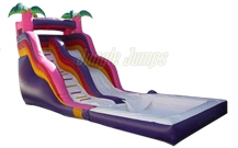 PINK  & PURPLE FUN SLIDE